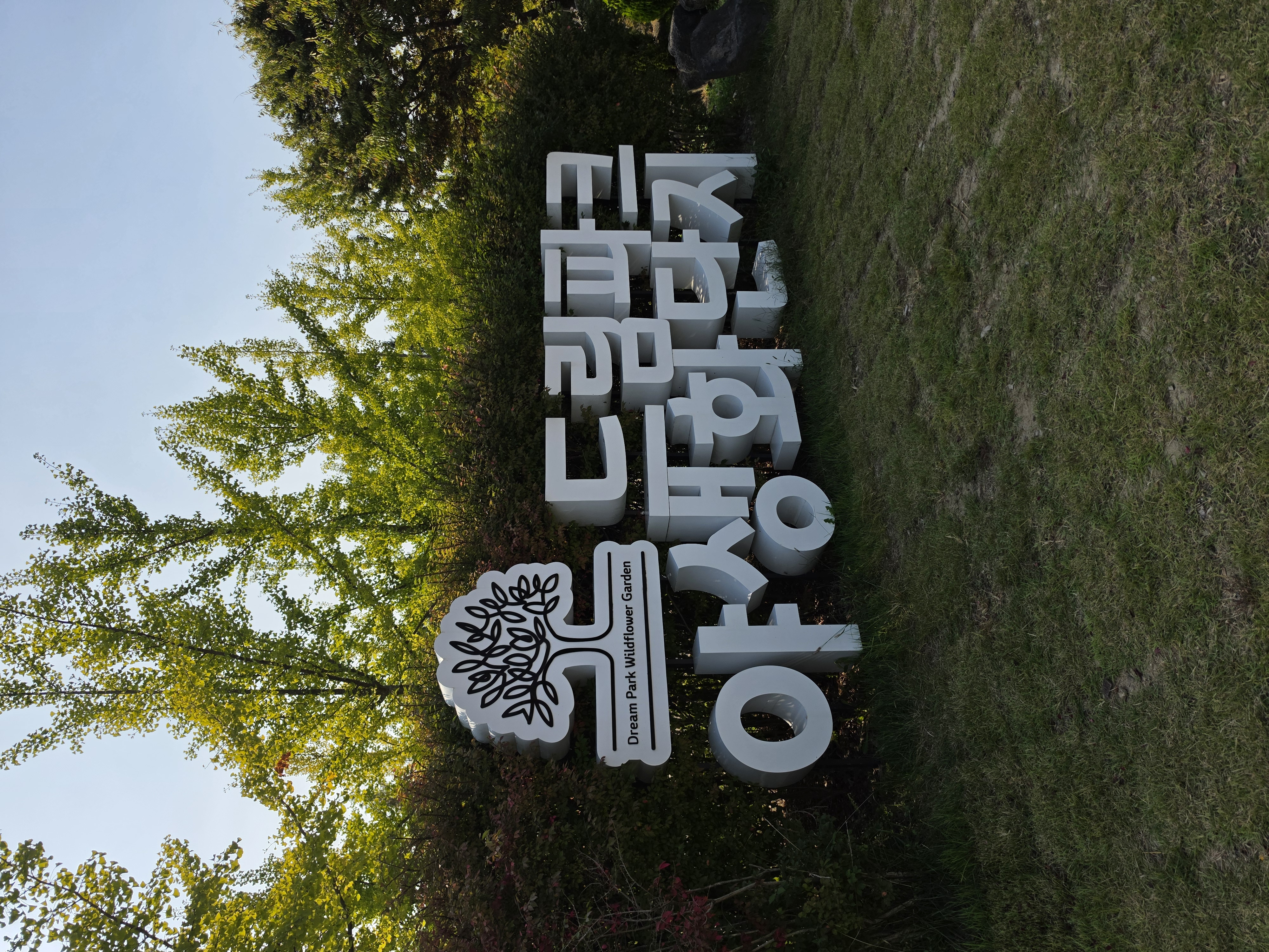 정면